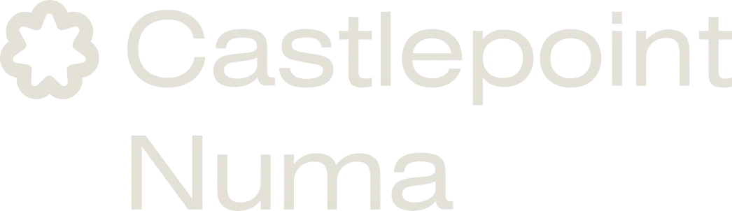 Castlepoint Numa
