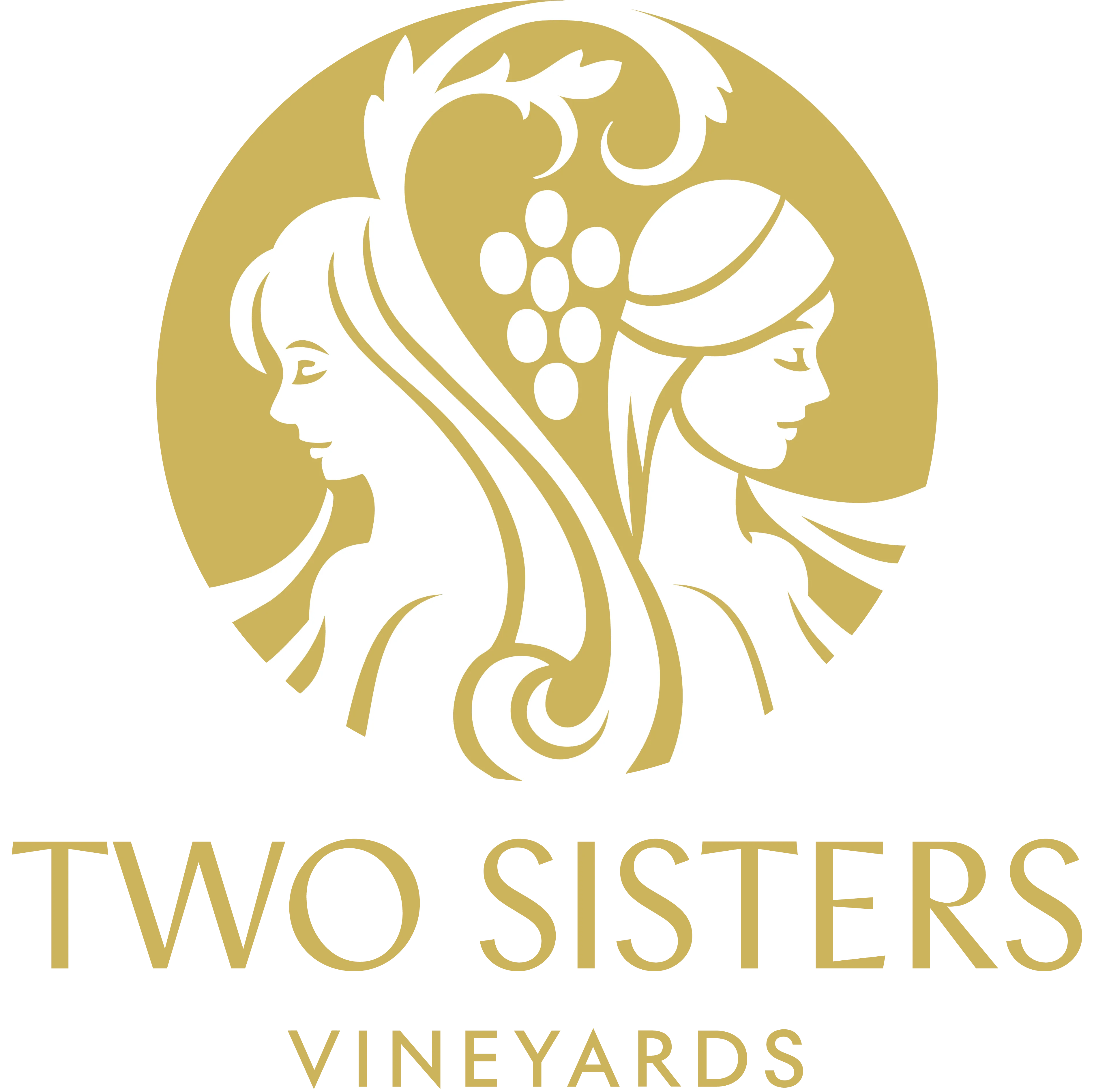 Two Sisters Vineyards