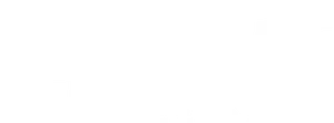 Platform Partner